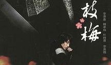 一枝梅在线观看,传奇侠女闯江湖，在线观看重温经典