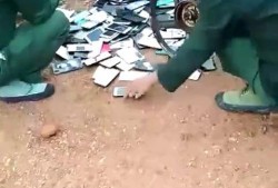 服从手机在线观看,手机在线观影新体验