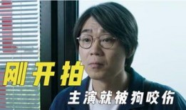 娱乐吃瓜君字幕版,揭秘娱乐圈幕后故事