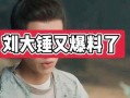 刘大锤快手爆料视频,幕后真相大起底