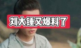 刘大锤快手爆料视频,幕后真相大起底