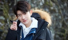 圈内爆料王源赵露思,圈内爆料引发热议