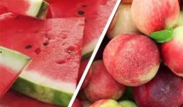 番茄免费小说吃瓜系统豪门,吃瓜系统带我逆袭