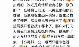 语姐吃瓜日记免费阅读下载,免费阅读下载，畅享娱乐圈幕后故事