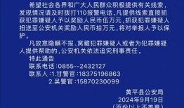 黄平新闻爆料事件最新,真相与争议交织的舆论漩涡