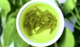 绿茶吃瓜爆料入口最新,揭秘娱乐圈最新热点事件