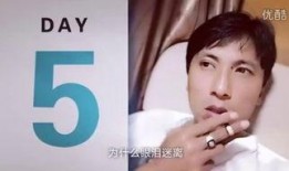 龙之吻国语在线观看,浪漫奇幻之旅，在线观看开启奇幻之旅