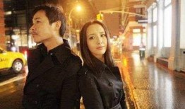 华人爆料陈思诚视频在线观看,华人爆料事件全程回顾