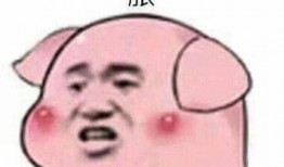 小胖猪是谁爆料的视频播放,揭秘视频幕后真相