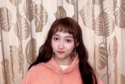 鹿晗反面爆料视频大全最新,背后真相与争议事件大盘点