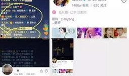 仙家八卦爆料视频,视频爆料背后的神秘世界