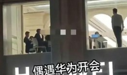 华为爆料女员工视频播放,揭秘职场真相与女性权益挑战