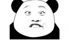 熊猫头爆料人是谁啊视频,背后真相大起底