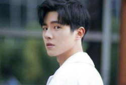 爆料刘昊然陈坤事件视频,真相与争议交织