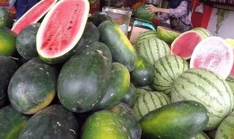 中国免费吃瓜,揭秘中国网络文化的狂欢现象