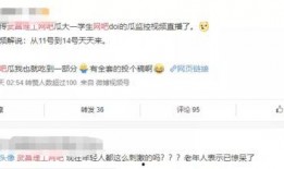 网络爆料不雅新闻事件,真相与争议交织