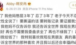 韩安冉微博爆料出轨视频,真相背后引发网友热议