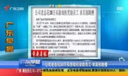 广东网红爆料新闻报道视频,最新新闻报道视频揭秘！