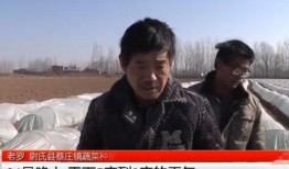 农民大哥爆料视频大全,视频大全揭秘农村生活真相
