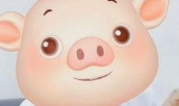 小胖猪是谁爆料的视频播放,揭秘视频幕后真相