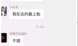 网络爆料不雅新闻事件,真相与争议交织