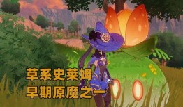 原神大熊爆料视频素材,揭秘游戏新内容与神秘角色