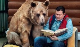 熊在线观看,一场别开生面的动物世界之旅