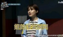 那个傻瓜韩语在线观看,轻松入门韩语学习之旅