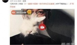 卓伟爆料模特视频大全集,模特视频大全集揭秘