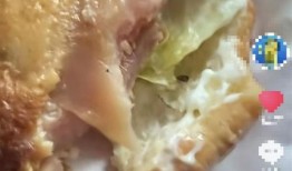 中国汉堡爆料视频,揭秘网红美食背后的真相