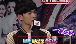 娱乐圈爆料时间多久一次,揭秘明星幕后故事，每月一次深度解析！