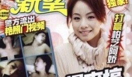 邓丽欣事件在线观看,网络舆论下的真相探寻与反思