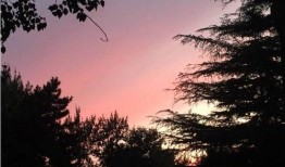 娱乐吃瓜酱白月光,揭秘白月光背后的故事