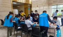 新蚂蚁技能爆料怎么做视频,视频攻略助你轻松上手