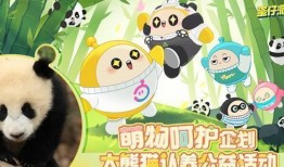 蛋仔熊猫面具爆料视频大全,揭秘神秘面具背后的故事