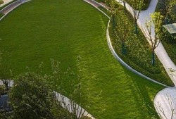 临平公园爆料最新消息视频,视频揭秘公园神秘事件