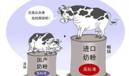 香港奶粉爆料视频播放,视频曝光背后的真相与反思