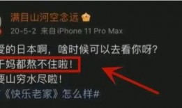 高清内鬼爆料视频下载,下载背后的真相与内幕