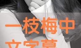 一枝梅在线观看,传奇侠女闯江湖，在线观看重温经典