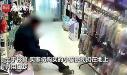 新兴宠物店爆料视频大全,爆款视频大全背后的宠物潮流