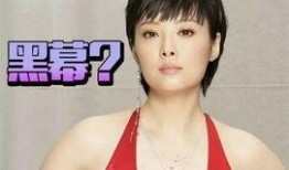 陈紫函男友爆料视频大全,情感纠葛与真相大白