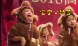 重庆武女士最新爆料,揭秘事件背后惊人真相