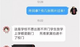 网友电工爆料视频大全,揭秘电力行业幕后真相视频大全