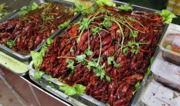 玩乐美食爆料视频,跟随玩乐爆料视频解锁地道美食之旅