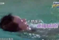 大黑牛爆料视频,娱乐圈幕后真相大曝光