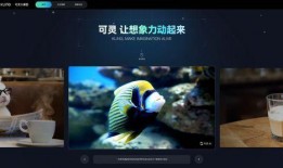 媒体爆料鲨鱼视频大全集,揭秘海洋霸主惊险瞬间