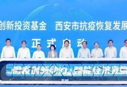 西安基金最新爆料新闻,揭秘项目进展与市场动态