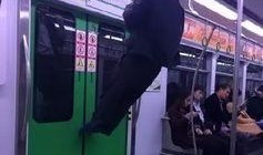 轻轨员工爆料事件视频,揭秘地铁运营背后的惊人真相