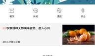 中间人手机在线观看,技术揭秘与安全防范