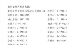 新蚂蚁技能爆料怎么做视频,视频攻略助你轻松上手